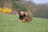 BRIARD 158